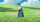 Das wandelnde Schloss / DVD - Top Zustand