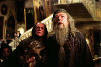 Harry Potter und der Gefangene von Askaban  ( 2 DVDs ) / DVD