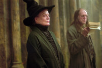 Harry Potter und der Gefangene von Askaban  ( 2 DVDs ) / DVD
