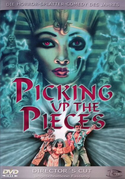 Picking up the Pieces / DVD - Top Zustand