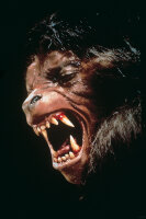 American Werewolf / DVD * Nagelneu Versiegelt