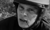 Oi! Warning / DVD *Top Zustand