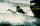 Verfluchtes Amsterdam / DVD * Top Zustand