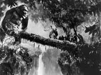 King Kong und die weiße Frau / DVD * Top Zustand