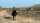 Red Dead Redemption / Playstation 4 / PS5 *TOP Zustand