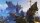 Tiny Tinas Wonderlands / Playstation 4 / PS5 * Guter Zustand