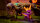 Spyro - Reignited Trilogy *Nintendo Switch* Top Zustand