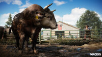 Far Cry 4 + Far Cry 5 (Double Pack) Playstation 4 / PS5 *TOP Zustand