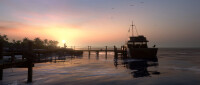 The Dark Pictures Anthology - Man of Medan / Xbox One - Top Zustand