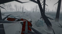 The Long Dark / Playstation 4 / PS5 *TOP Zustand