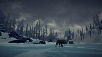 The Long Dark / Playstation 4 / PS5 *TOP Zustand