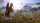 Assassins Creed Odyssey / Xbox One - Top Zustand