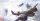 Battlefield V / Xbox One - Top Zustand