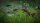 Jurassic World Evolution / Playstation 4 / PS5 * Guter Zustand