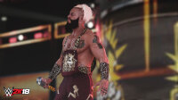 WWE 2K18 (Wrestlemania Edition) Playstation 4 / PS5 *TOP Zustand