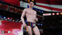 WWE 2K18 (Wrestlemania Edition) Playstation 4 / PS5 *TOP Zustand