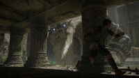Shadow of the Colossus / Playstation 4 / PS4 wie NEU