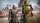 Dynasty Warriors 9 / Xbox One - Top Zustand
