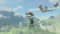 The Legend of Zelda - Breath of the Wild *Nintendo Switch* Hülle nass vergilbt