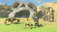 The Legend of Zelda - Breath of the Wild *Nintendo Switch* Hülle nass vergilbt