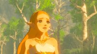 The Legend of Zelda - Breath of the Wild *Nintendo Switch* Hülle nass vergilbt