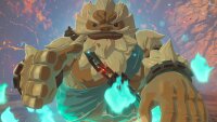 The Legend of Zelda - Breath of the Wild *Nintendo Switch* Hülle nass vergilbt