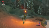 The Legend of Zelda - Breath of the Wild *Nintendo Switch* Hülle nass vergilbt