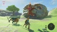 The Legend of Zelda - Breath of the Wild *Nintendo Switch* Hülle nass vergilbt
