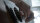 The Last of Us - Part II / Playstation 4 / PS5 *TOP Zustand