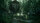 The Last of Us - Part II / Playstation 4 / PS5 *TOP Zustand