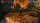 The Witcher 3:Wild Hunt (Game of the Year Edition)Playstation 4/PS5 *TOP Zustand