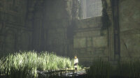 The Last Guardian / Playstation 4 / PS5 *TOP Zustand
