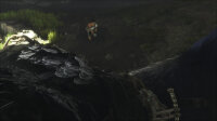 The Last Guardian / Playstation 4 / PS5 *TOP Zustand