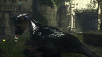 The Last Guardian / Playstation 4 / PS5 *TOP Zustand