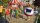 Planet Coaster / Playstation 5 / PS5 wie NEU