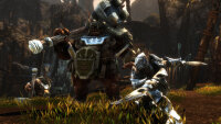 Kingdoms of Amalur: Re-Reckoning / Playstation 4 / PS5 *TOP Zustand