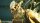 Stellar Blade / Playstation 5 / PS5 wie NEU