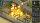 Constructor Plus - Nintendo Switch - Top Zustand