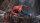 Marvel Spider-Man / Playstation 4 / PS5 *Guter Zustand