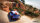 WRC 7 / World Rally Championship 7 / Playstation 4 / PS5 *TOP Zustand