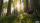 Hunting Simulator / Xbox One - Top Zustand