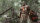For Honor / Playstation 4 / PS 5 *TOP Zustand