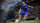 FIFA 17 / Xbox One - Top Zustand