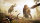 Far Cry Primal (Special-Edition) Playstation 4 / PS5 *TOP Zustand