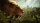 Far Cry Primal (Special-Edition) Playstation 4 / PS5 *TOP Zustand