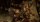 Doom (Day One Edition) / Playstation 4 / PS5 *TOP Zustand