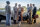 Downton Abbey - Der Film / DVD - Top Zustand