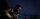 Call of Duty 17 - Black Ops: Cold War / Playstation 4 / PS5 *Guter Zustand