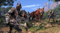 The Elder Scrolls Online: Elsweyr (Online-Game) Playstation 4 / PS5 *TOP Zustand
