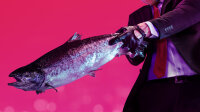 Hitman 2 / Playstation 4 / PS5 *TOP Zustand